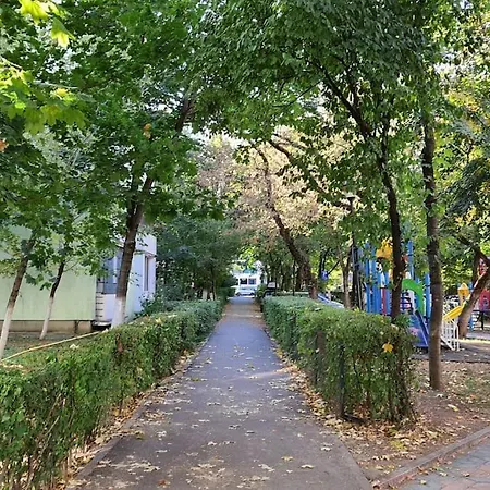 Apartamento Lovely Three Rooms Apartment In Cluj Napoca